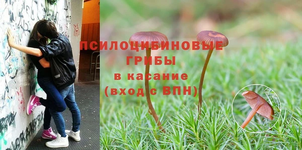 кокаин премиум Алексин