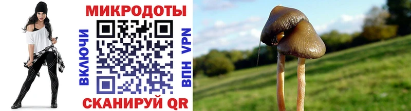Галлюциногенные грибы прущие грибы  Харовск 